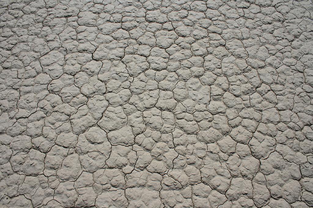 20081022 death valley 069.jpg - Death Valley - Dry Racetrack mud